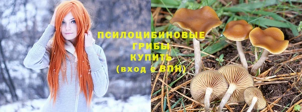 наркотики Козельск