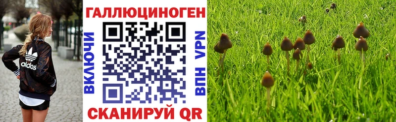 Купить  Талдом  Галлюциногенные грибы прущие грибы 